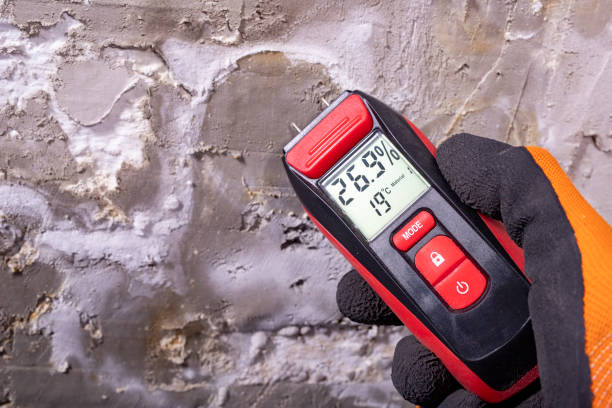 Best Local Mold Removal Service  in Larkspur, CA