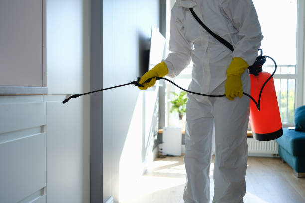 Best Mold Testing  in Larkspur, CA