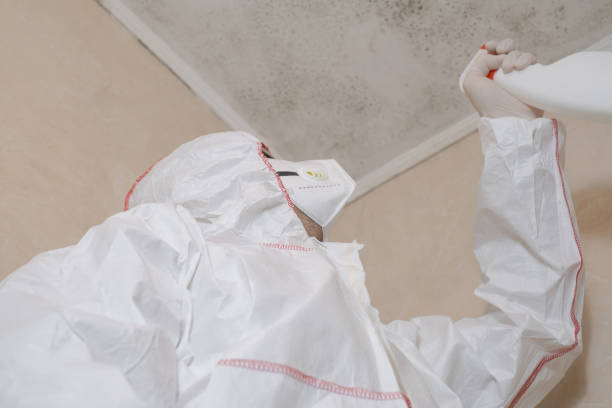 Best Office Mold Removal Services  in Larkspur, CA