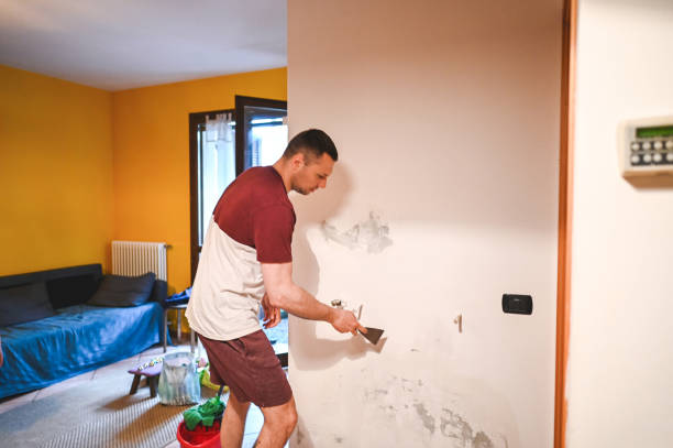Best Local Mold Removal Service  in Larkspur, CA