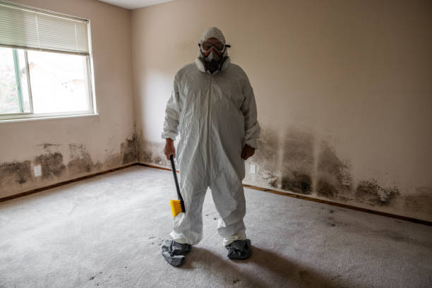 Larkspur, CA Mold Removal Company